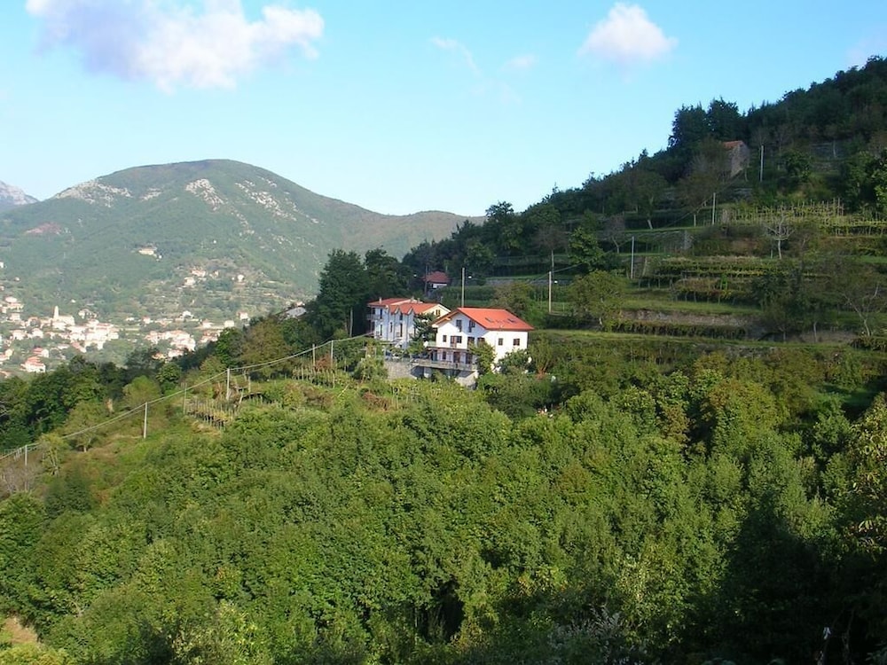 AGRITURISMO IL CASTAGNO