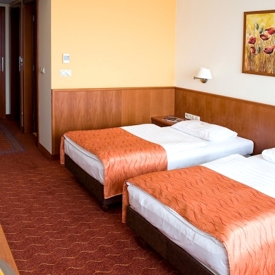 AIRPORT HOTEL BUDAPEST (BUDAPEST AIRPORT, 20 KM FROM BUDAPEST)