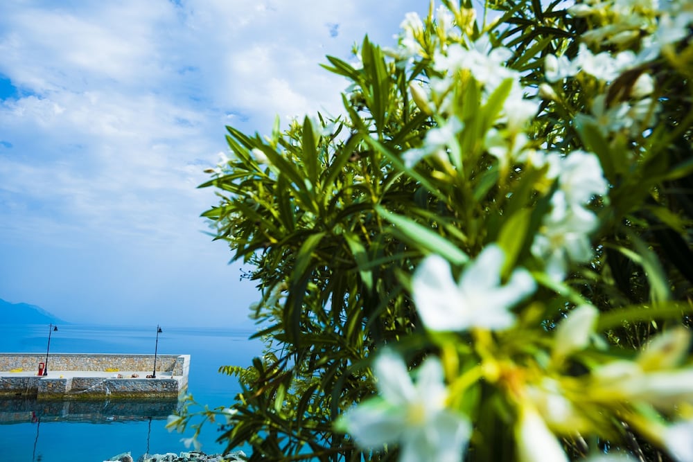 MIRADOURO SEAFRONT RESIDENCES
