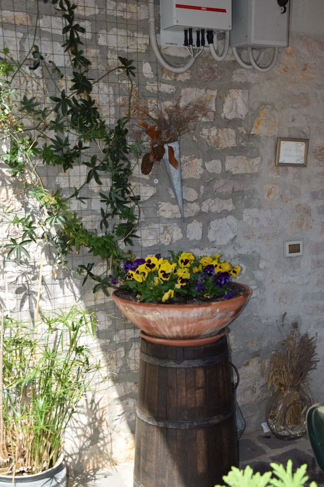 LE TERRAZZE B&B