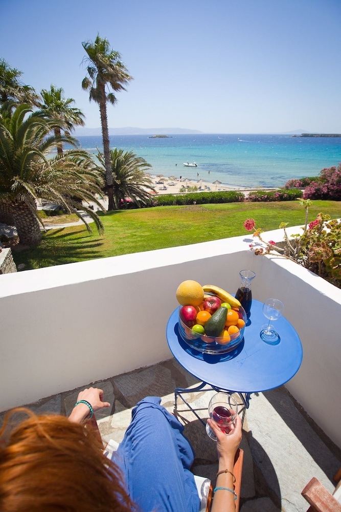 PAROS FILOXENIA