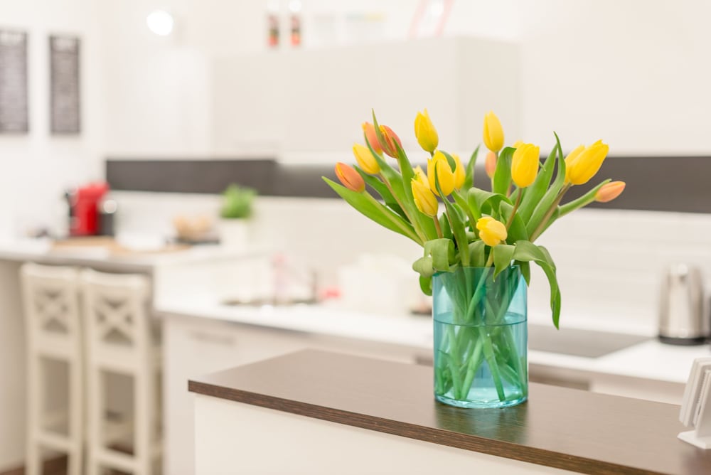 OASIS APARTMENTS - ALMASSY PARK
