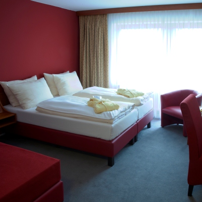 PARKHOTEL ROEDERMARK (24 KM FROM FRANKFURT)